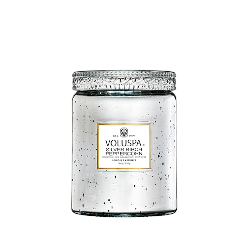 Voluspa Silver Birch Peppercorn Decor Candle, 18 oz, Coconut Wax Blend, Scented Candles for Home, 100 Hour Burn Time, Candle Jars