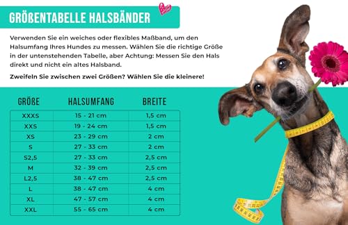 DWAM Dog with a Mission - Hundehalsband - Verstellbar - Weichem Leder – Tierdruck - Zebra – M – Leder – Halsumfang zwischen 32–39 x 2,5 cm – Dandy