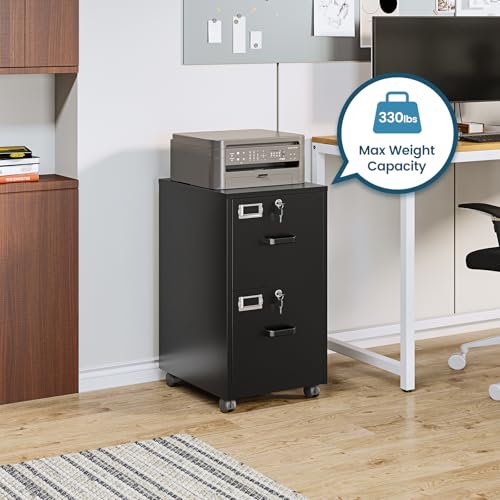 Image of MIIIKO 2 Drawer File Cabinet with Lock, Vertical Metal Filing Cabinets for Home Office, Lockable Storage File Cabinets Under Desk, A4 /Letter File Folders(Black)-Assembly Required