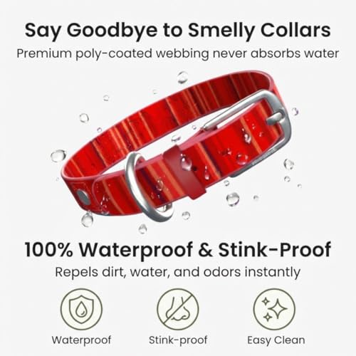 Image of Waterproof Dog Collar - Washable, Stink-Proof & Dirt-Proof - Soft, Odorless, Easy to Clean - Fade-Resistant, Durable for Medium & Large Dogs - Rust-Proof Metal Buckle (Red-M 1 inch)