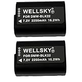WELLSKY DMW-BLK22 2個 互換バッテリー 純正充電器で充電可能 残量表示可能 純正品と同じよう使用可能