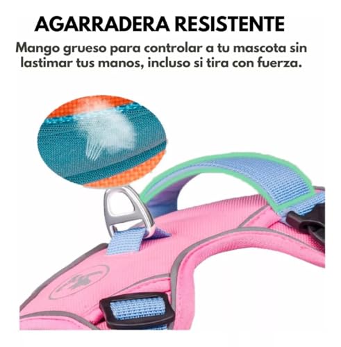Perro, Video On Demand Imagen adicional