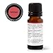 Plant Therapy Vetiver Essential Oil 100% Pure, Undiluted, Natural Aromatherapy, Therapeutic Grade 10 mL (1/3 oz)