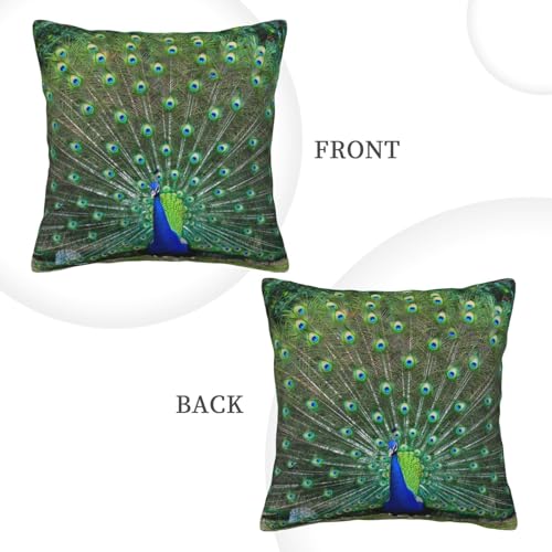 Housse de coussin velours côtelé paon 45x45 cm pour salon