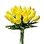 Yellow Yellow