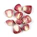 Corn, Red - 10 Lb Bag / Box Each