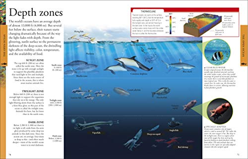 Dk 22862285 Ocean: A Visual Encyclopedia thumb #9