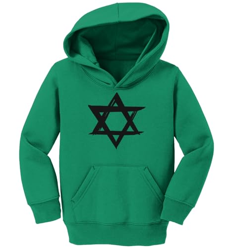 Haase Unlimited Grunge Star of David - Stand With Israel Toddler/Youth Fleece Hoodie2
