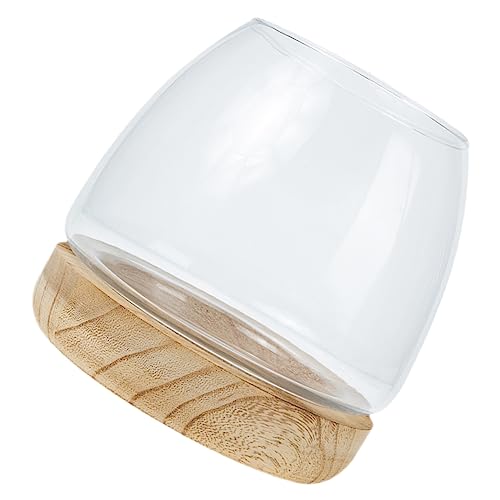 Kisangel 1 Juego pecera de Cristal Transparente Kit de Dragones acuáticos Agua Tanques Pedestal Madera peanas de Madera contenedor de Plantas hidroponicas Maceta de Cristal Vidrio