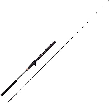 Abu Garcia OCEANFIELD ショアジギングロッド、サワラ Amazon | AbuGarcia (アブガルシア) オーシャンフィールド