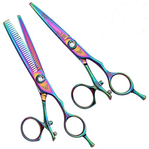 Washi Rainbow Daisy Swivel 2 Piece Shear Set - 5.5 Scissor, 30 Tooth Thinner, Razor, Case, Maintenance Kit. Premium Rainbow Swivel Set