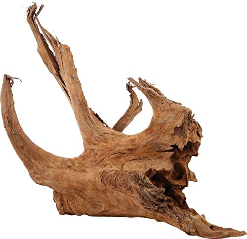 Zolux - Racine Mangrove - 40 à 60 cm 356035 Multicolore Taille Unique