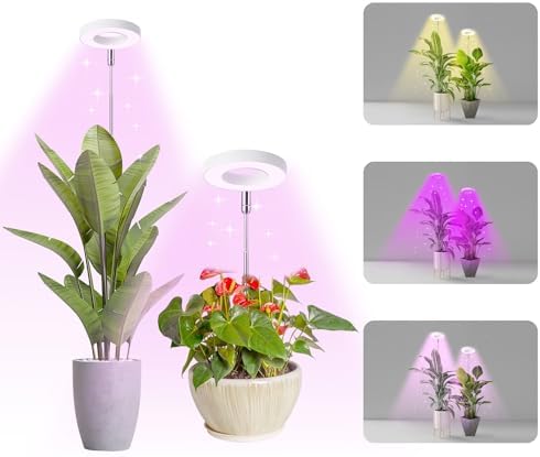 Blue Light for Plants at Night: What You Didn't Know About Growth 5 Halo Ring Grow Lights for Small Indoor Plants, Red+Blue+Yellow Light Full Spectrum LED Plant Light, Height Adjustable with 5V 2A Adapter, 3/9/12H Timer & 10 Dimmable Levels, Angel Ring 2 Pack