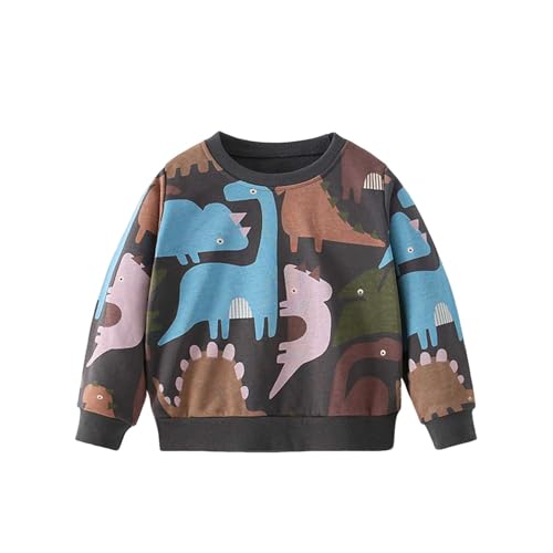 Sudadera con Capucha Infantil Estampado de Dinosaurio Manga Larga Cómoda para Niños Otoño Invierno Primavera Casual Diario Abrigada (Multicolour, 3-4 Years)
