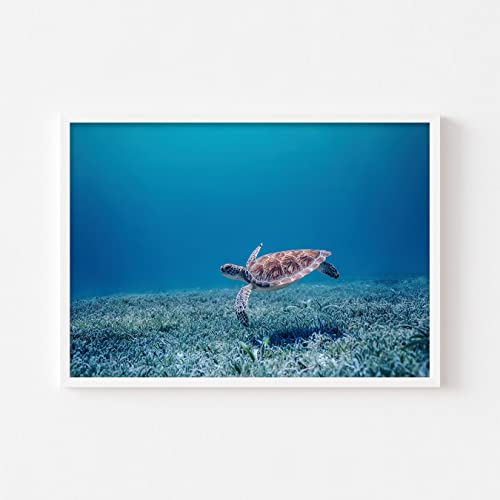 【モダン インテリア ポスター】幸運を運ぶ ウミガメ 人気 風水 絵画 海 インテリア雑貨 アートパネル ハワイ 沖縄 ビーチ 開放感 (A4 サイズ) [3]