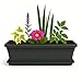 TECHZOCO Jardinera de plástico con Plato, Macetero Jardín, Incluye Plato, Fabricado en Polipropileno, Apto balcón, Patio, Interior/Exterior, 50 cm Largo x 16.5 cm Alto x 18 cm Fondo, Antracita