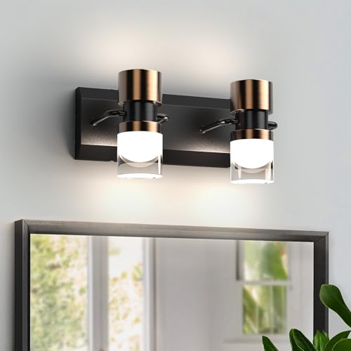 PHIXART LED Bathroom Vanity Light Fixtures, 2 Light Black and
