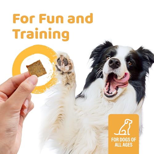 iPaw Air-Dried Turkey Dog Treats, Extra Virgin Olive Oil Added, Made with Turkey Meat, Chicken Heart and Duck Liver, High Protein, Soft Treats for All Age Dogs, Freeze-Dried Alternative (3.5oz/Pack)