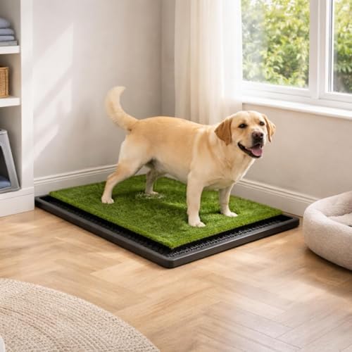 Hundetoilette 76×51 cm – 5-Schicht Hundeklo mit Tablett & 2 Ersatz Kunstrasen – Geruchsfrei, rutschfest, Waschbar – Für Zuhause, Balkon, Indoor & Outdoor
