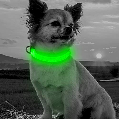 Bseen Light Up Dog Collars - Adjustable Puppy Collar, Rechargeable Led Dog Collar For Small Dogs, Adjustable Cat Collar, Glowing Dog Lights For Night Walking (Green, Xs) #TOP6