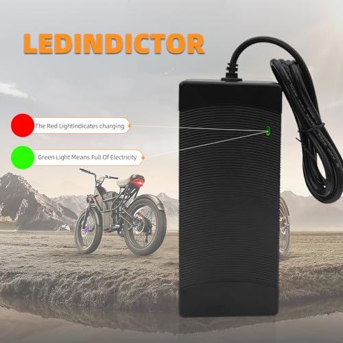 48V Ebike Fast Charger 54.6V 2A