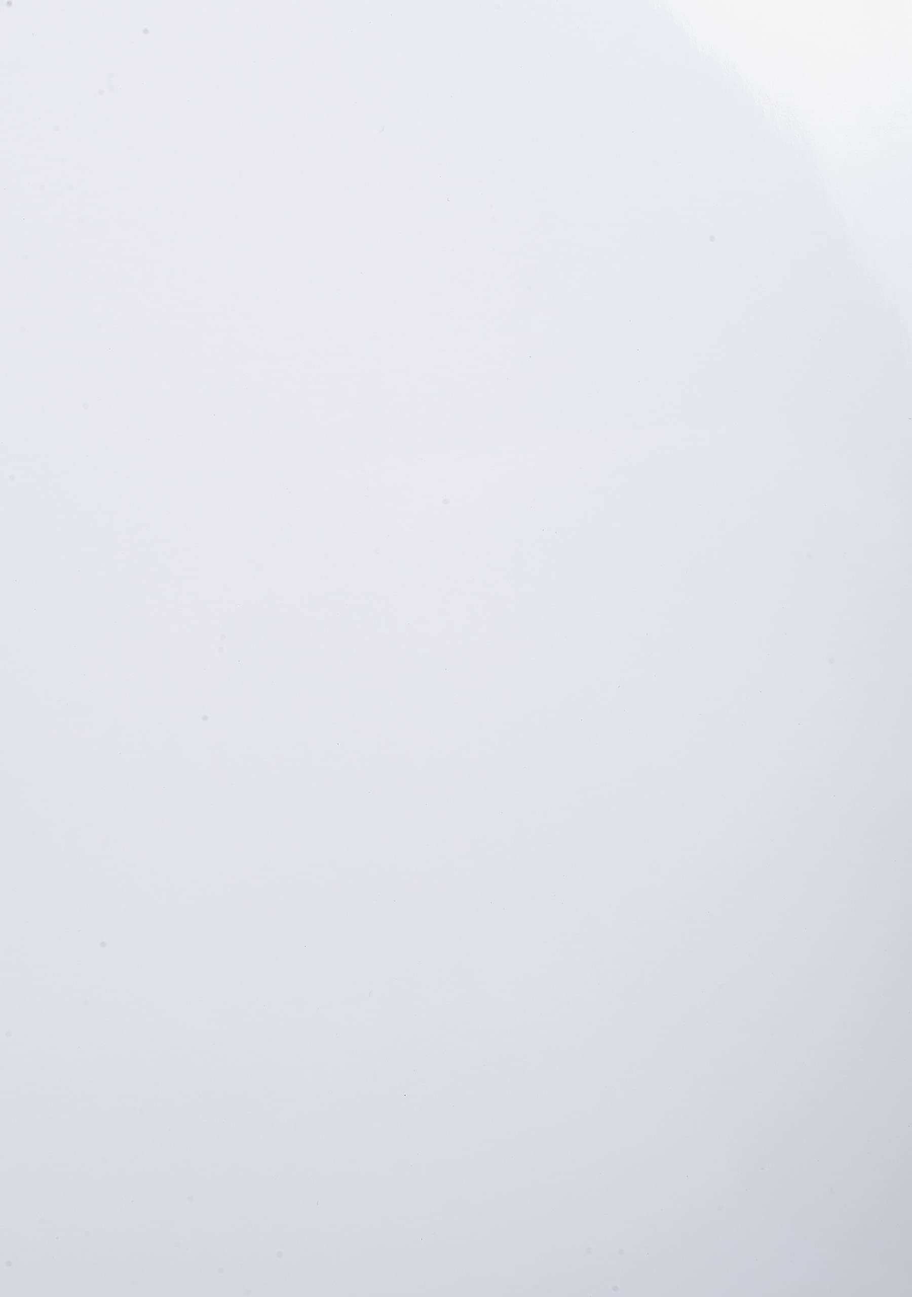 Exacompta 2980C foglio di protezione 210 x 297 mm (A4)