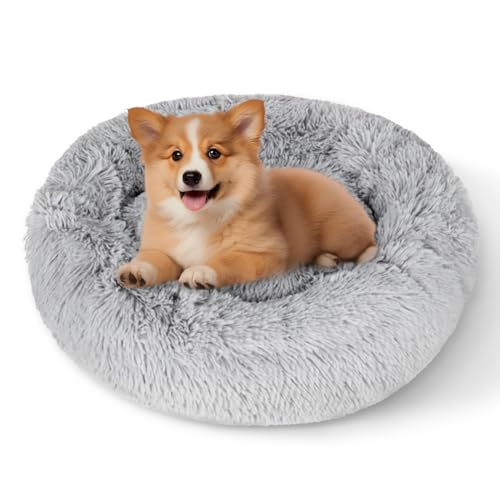 Dafencar Cuccia per Gatti, 50 x 30 x18 cm Cuccia Cane Interno, Lavabile, Adatto a Gatti, Cani di Piccola e Media Taglia