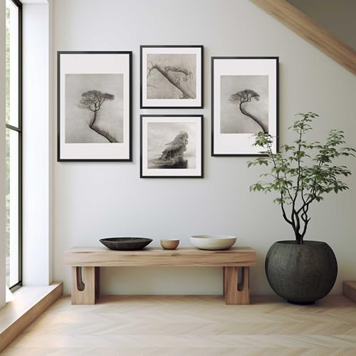 LaVie Home 22x22 Picture Frame for Wall Display, 22x22 Square Picture Frame with HD Plexiglas, 22 x 22 Poster Frame 1 Pack, Display Frame for Vertical or Horizontal, Black Classic Collection