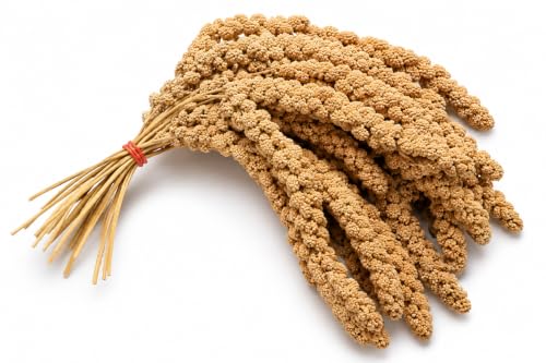 Pet Ting 1Kg Millet Spray for Birds and Small Animals - budgies Canaries Cocktaiel Parrots ETC