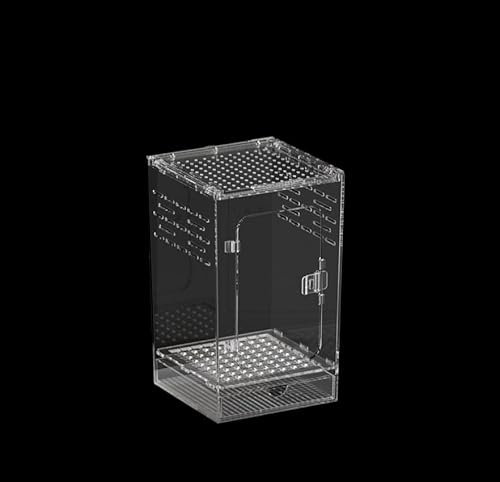 ��^ ঒��ރP�[�W �ʋC�����b�V���t�� �����A�N���� ����{�b�N�X �E���h�~ �ώ@���₷�� �e�����E�� �t�g�A�S�q�Q�g�J�Q �w�r �N�� �J�G�� �J�� ���� (����^���甠15×15×25cm)