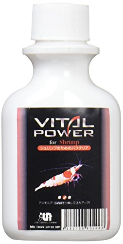 W (JUN) Vv̂߂̃oNeA 100ml