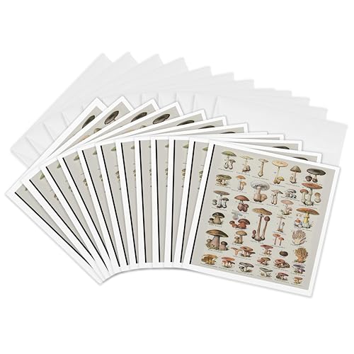 Cartes de vœux champignons 3dRose lot de 12 au format 15x15 cm
