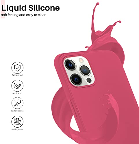 Image of VONZEE Basic Case for iPhone 12 Pro Max (Silicone | Hibiscus | Solid)