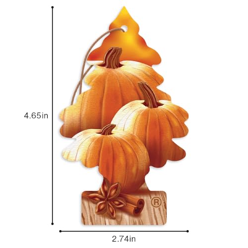 Image of LITTLE TREES Car Air Freshener | Hanging Tree Provides Long Lasting Scent for Auto and Home | Warm Pumpkin Spice, 24 Air Fresheners