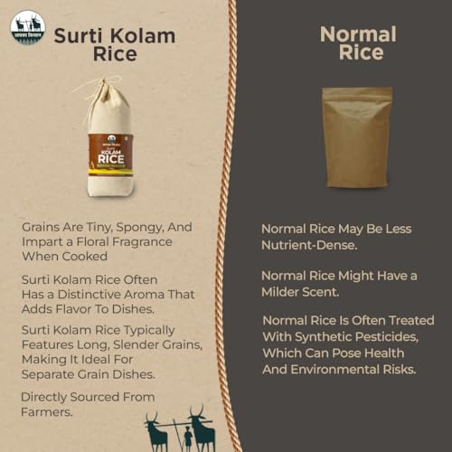 Image of Apka Kisan Surti Kolam Rice | Premium Lachkari Raw Rice | Medium Grain Non-Sticky Rice | Fluffy & Aromatic | Daily Rice (1Kg)