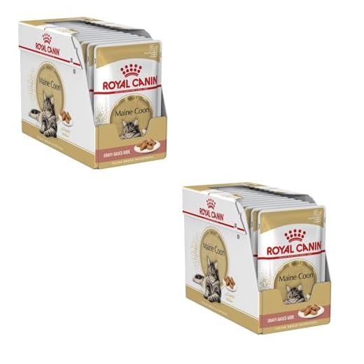 Royal Canin Maine Coon Doppelpack Nassfutter