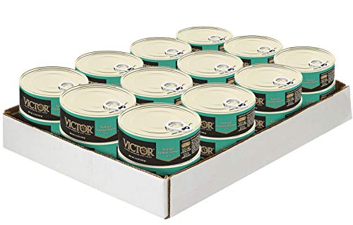 VICTOR Super Premium Cat Food – Turkey and Salmon Dinner Pâté – Canned Wet Food for Indoor and Outdoor Cats and Kittens – All Breed Sizes and All Life Stages, 24 x 5.5 oz Cans
