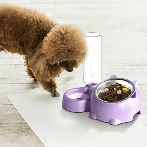Pet Food and Water Bowl Set, Double Bowls with Water Dispenser fo...
