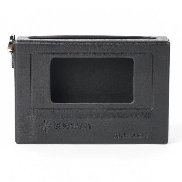 Leather Case for FiiO Echo Mini (Black)