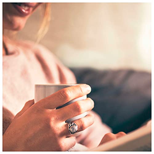 Lipton Daily Immune Support Herbal Supplement With Green Tea Turmeric Echinacea And Ginger With Vitamin C 15 Ct, Pack Of 4 #TOP3