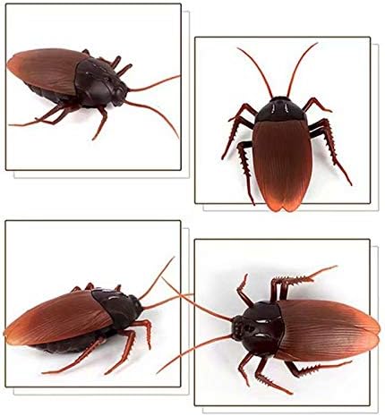 Amazon ゴキブリ ラジコン おもちゃ ドッキリ ジョーク おもちゃ 電動 電池式 ハロウィン 小道具 リアルに動く By Ungfu Mall ジョーク どっきり おもちゃ