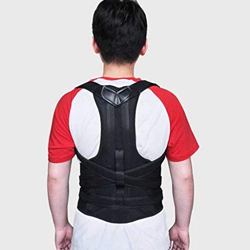 Univerval p&EGXgg[i[ obNpu[X T|[g O݂Lw~ ߉\ȃobNg[i[ (TCY  : L) nhCh charitable