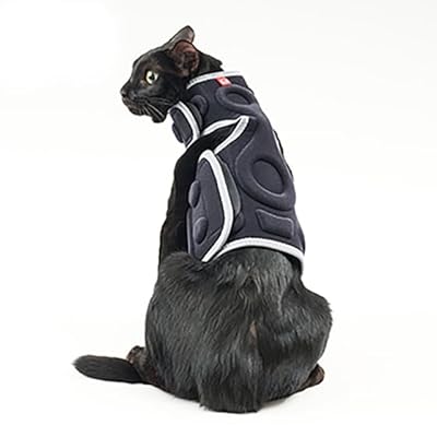 猫の爪切り対策に！anifull『アニサポ』で暴れる・噛むをサポート