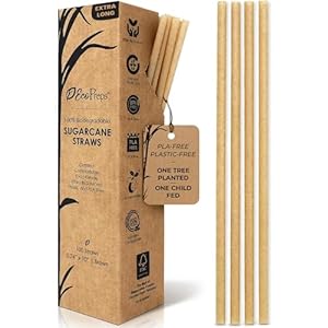 10” Biodegradable Sugarcane Straws, Extra-Long Straw | 100 Count, 100% Compostable, Plastic-Free, Eco-Friendly Drinking Straw | Sugar Fiber, Party Jumbo Disposable Straws, 10 Inches Tall