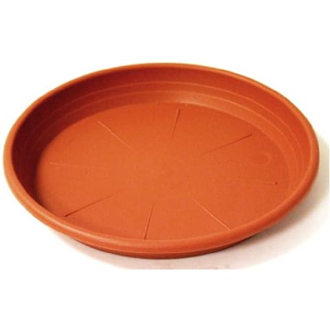 Soucoupe Ronde Blim 19 cm Cover