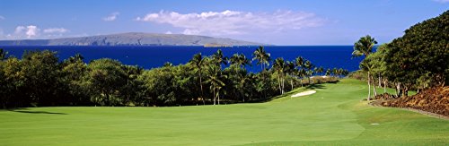Wailea Golf Club Maui Oceanfront Poster 27x9
