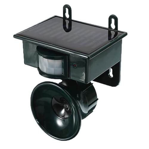 SaiEL \[[pltQ쏜 g Qb lY~ Lcl L悯 