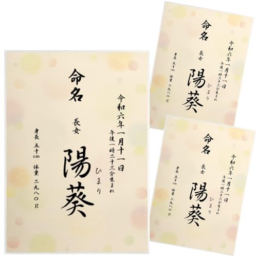  ʕ  Ƃ̑ccɂ I[_[  j̎qp ̎qp A4 ~l[g N o  AogȄd ڏȗ (3)