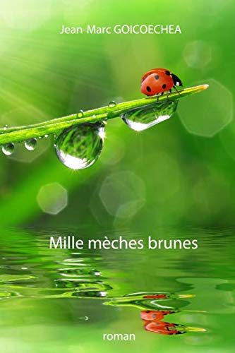 Mille mèches brunes (French Edition)