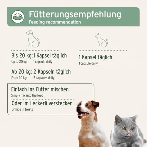 AniForte Lachsöl Kapseln für Hunde & Katzen 500 Stück – wertvolles Omega-3 Fischöl & Vitamine für Stoffwechsel, Knochenaufbau & glänzendes Fell